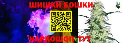индика Мариинск