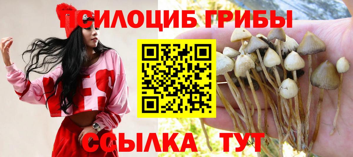 Галлюциногенные грибы ЛСД Верхняя Салда